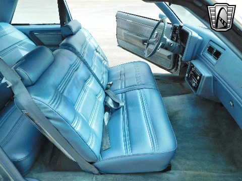 1979 Chevrolet Malibu image 104