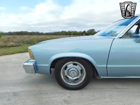 1979 Chevrolet Malibu image 28