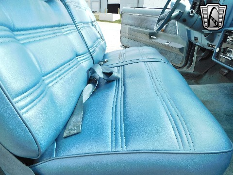 1979 Chevrolet Malibu image 106