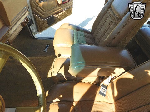 1985 Jeep Grand Wagoneer image 81