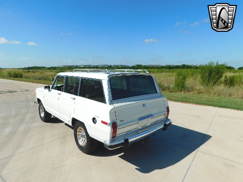 1985 Jeep Grand Wagoneer image 9