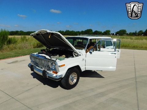 1985 Jeep Grand Wagoneer image 61