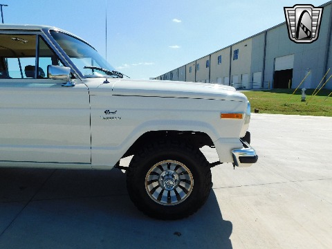 1985 Jeep Grand Wagoneer image 46
