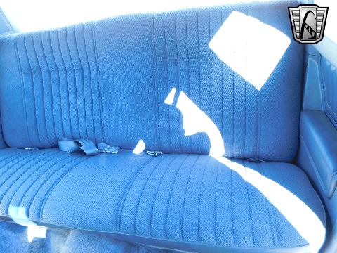 1984 Chevrolet Monte Carlo SS image 111