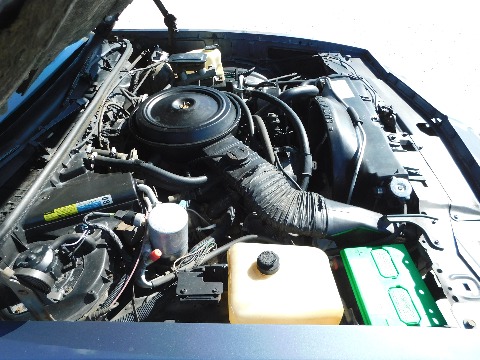 1984 Chevrolet Monte Carlo SS image 80