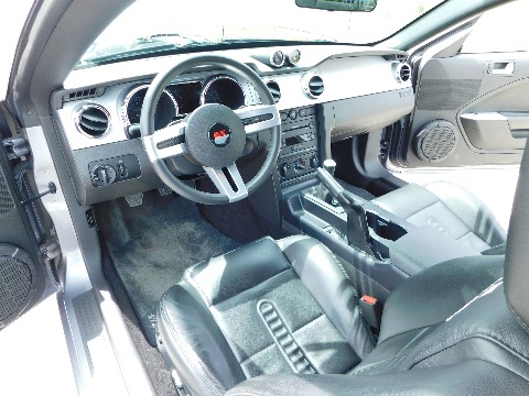 2006 Ford Mustang image 102