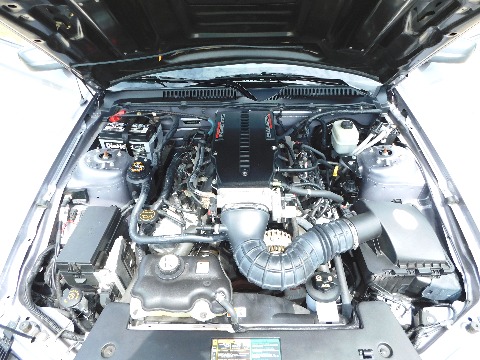 2006 Ford Mustang image 78