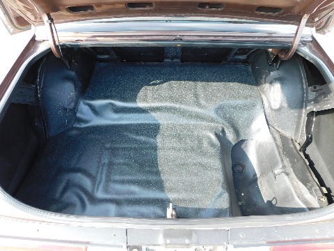 1984 Buick Regal image 76