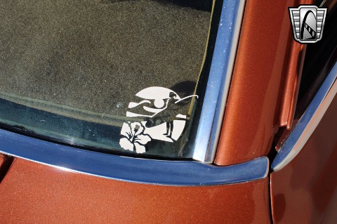 1979 Ford Pinto image 66