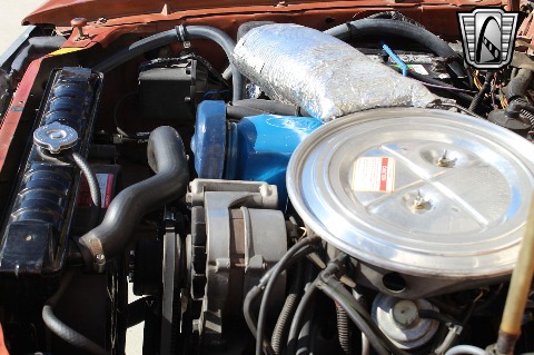 1979 Ford Pinto image 123