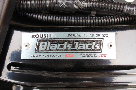 2007 Ford Mustang image 147