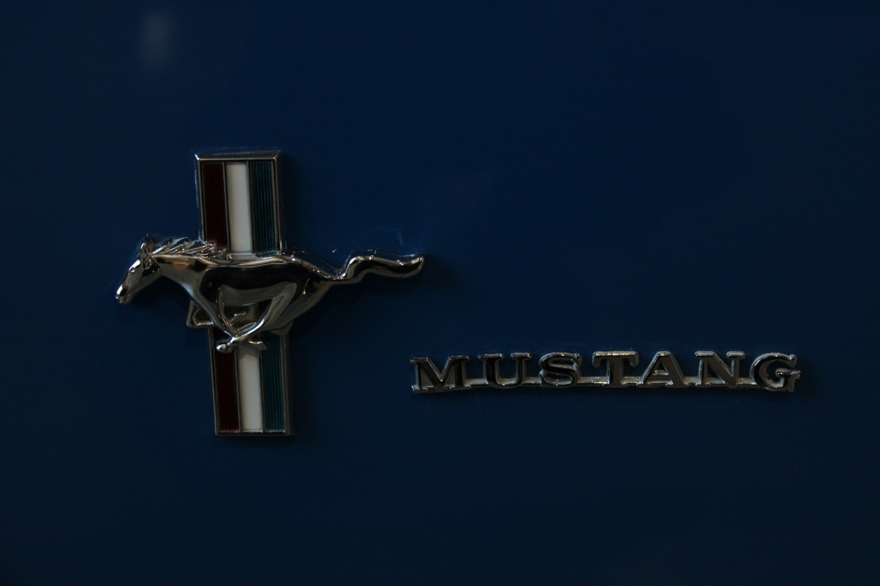 1965 Ford Mustang 49