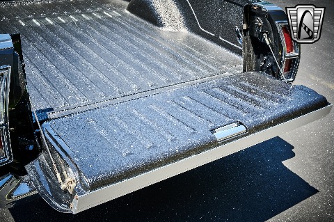 1979 Ford Ranchero image 103