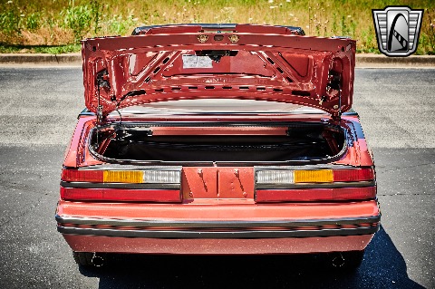 1984 Ford Mustang image 111