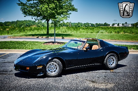 1981 Chevrolet Corvette image 3