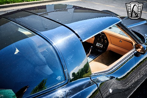 1981 Chevrolet Corvette image 81