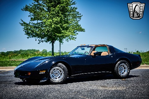 1981 Chevrolet Corvette image 4