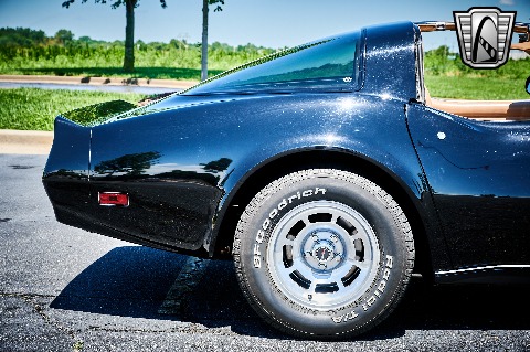 1981 Chevrolet Corvette image 30