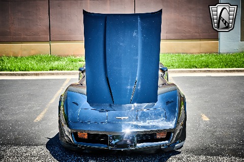 1981 Chevrolet Corvette image 108