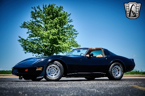 1981 Chevrolet Corvette image 5