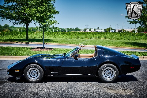 1981 Chevrolet Corvette image 6