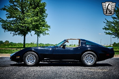 1981 Chevrolet Corvette image 7