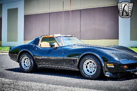 1981 Chevrolet Corvette image 33