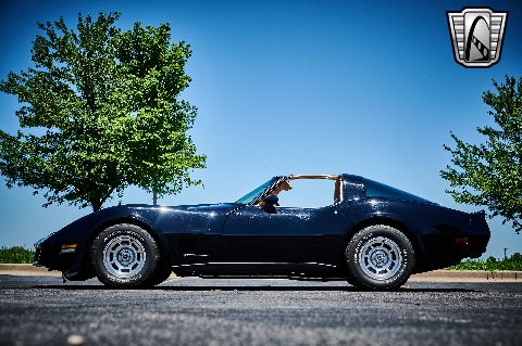 1981 Chevrolet Corvette image 8