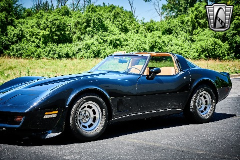 1981 Chevrolet Corvette image 34