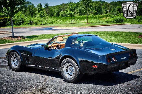 1981 Chevrolet Corvette image 9