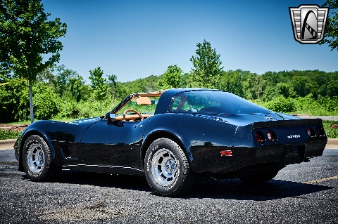1981 Chevrolet Corvette image 10
