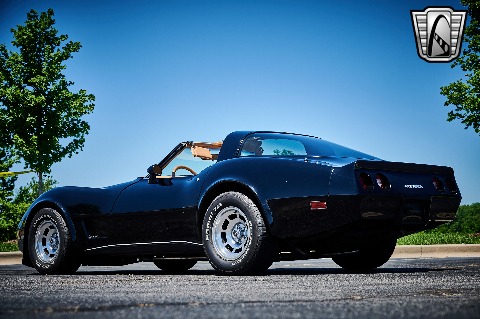 1981 Chevrolet Corvette image 11