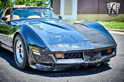 1981 Chevrolet Corvette image 37
