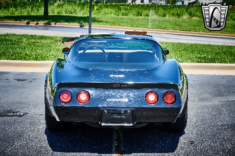 1981 Chevrolet Corvette image 12