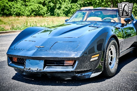 1981 Chevrolet Corvette image 38