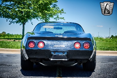 1981 Chevrolet Corvette image 13