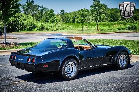 1981 Chevrolet Corvette image 15