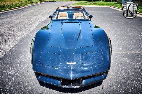 1981 Chevrolet Corvette image 41