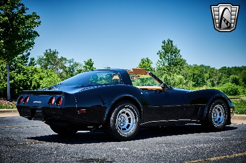 1981 Chevrolet Corvette image 16