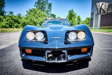 1981 Chevrolet Corvette image 43