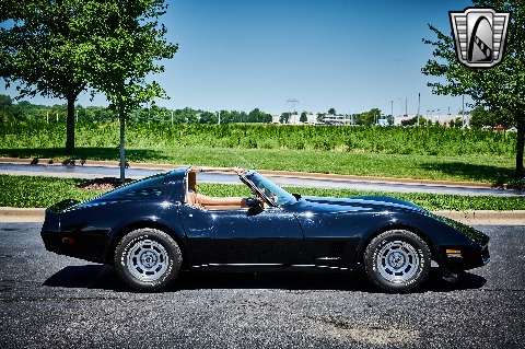 1981 Chevrolet Corvette image 18