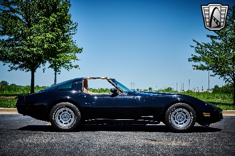1981 Chevrolet Corvette image 19