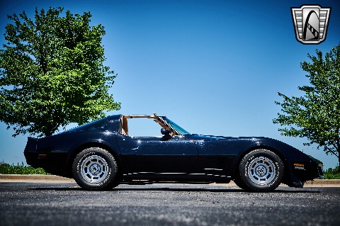 1981 Chevrolet Corvette image 20