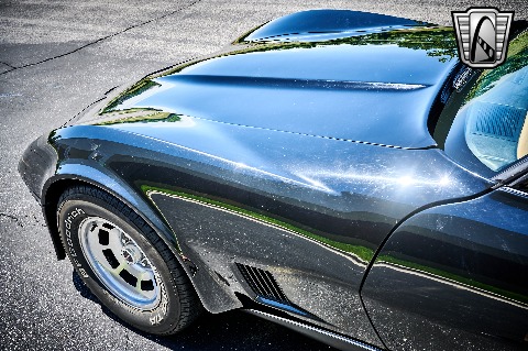 1981 Chevrolet Corvette image 46