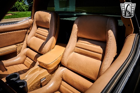 1981 Chevrolet Corvette image 98