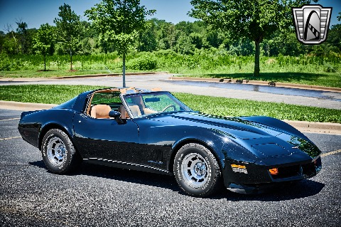 1981 Chevrolet Corvette image 21