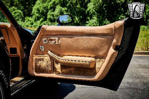 1981 Chevrolet Corvette image 99