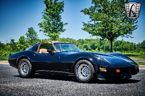 1981 Chevrolet Corvette image 22