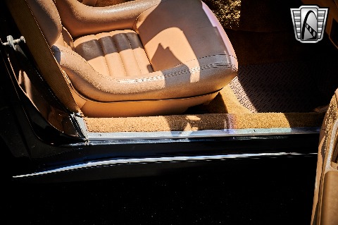 1981 Chevrolet Corvette image 100