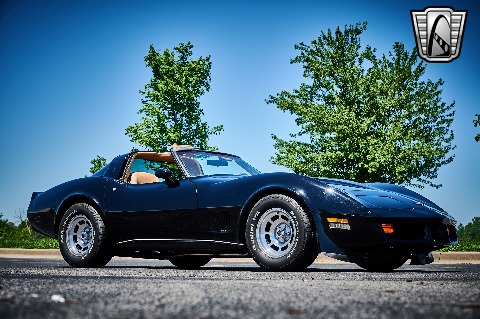 1981 Chevrolet Corvette image 23